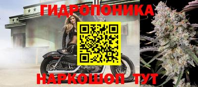 бошки Гусев