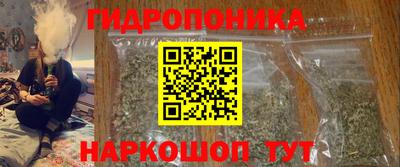 бошки Гусев