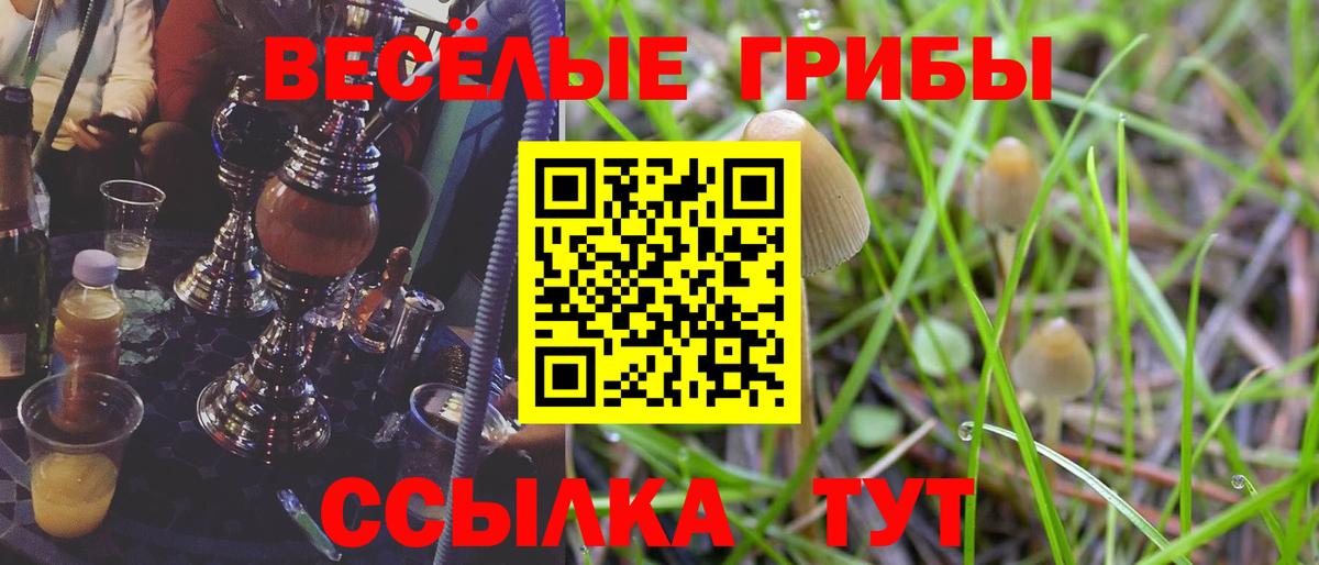 Миллерово  где купить наркоту  Вход с VPN  Псилоцибиновые грибы мицелий 
