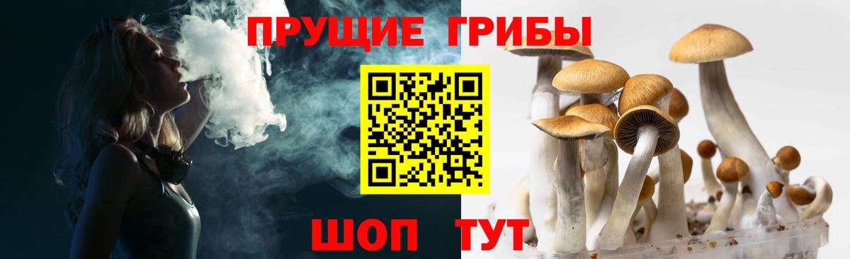 Псилоцибиновые грибы ЛСД Миллерово